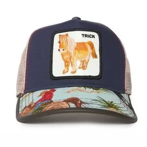 Goorin Bros | Accessories | Nib Limited Edition Goorin 